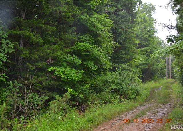 Property at 0 Old Cadet Rd, Bonne Terre, MO 63628
