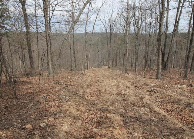 Property at 0 Madison CR 411 (122b) Unit 122b, Fredericktown, MO 63645