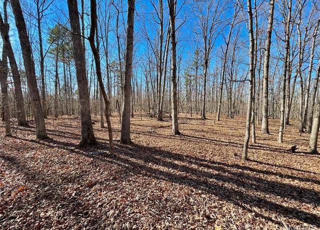 Property at 0 40.4 Acres County Road 5650, Bunker, MO 63629