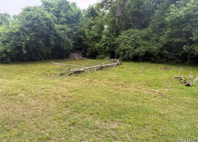 Property at 202 Lynn, Steelville, MO 65565