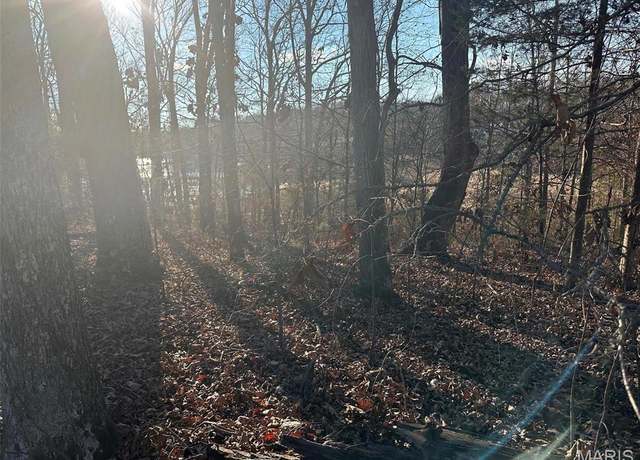 Property at 14 Wagon Creek Loop, Creal Springs, IL 62922