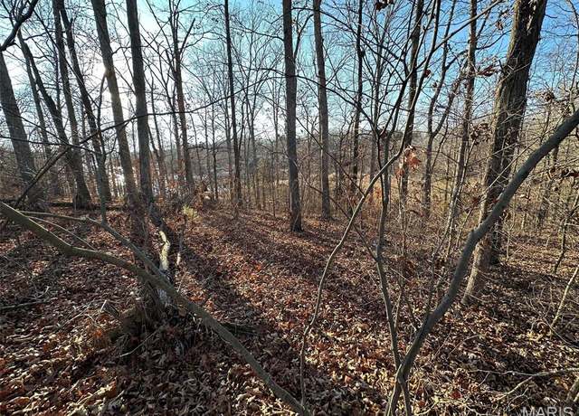 Property at 13 Wagon Creek Loop, Creal Springs, IL 62922