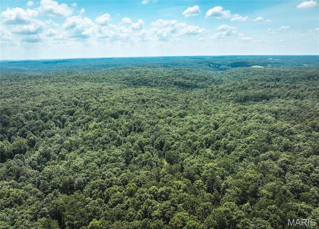 Property at 0 Highway B 60, Ellington, MO 63638