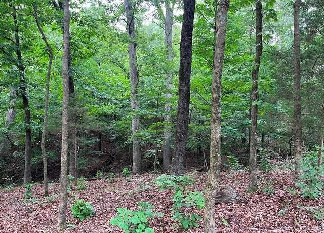 Property at 0 State Highway AD, Dexter, MO 63841