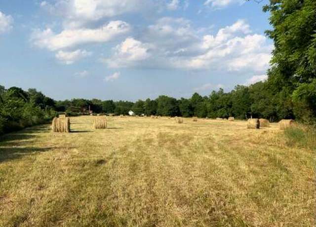 Property at 23479 Highway 32, Belleview, MO 63623