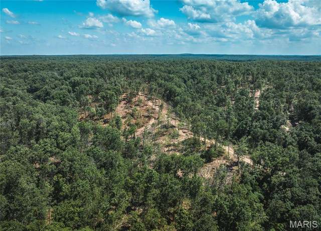 Property at 0 Highway B 54, Ellington, MO 63638