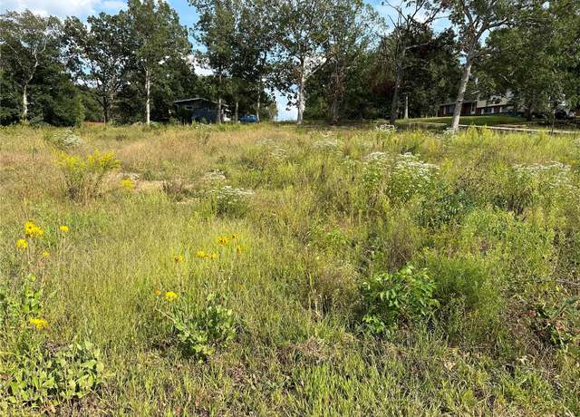 Property at 328 St Gerard St, Bonne Terre, MO 63628