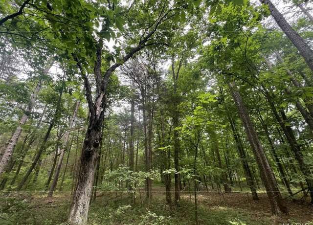 Property at 000 Madison Rd, Farmington, MO 63640