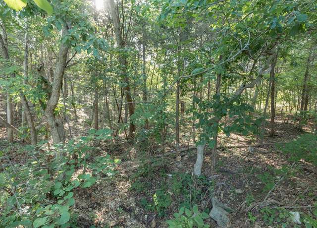 Property at 10449 Lake Crest Dr, Hillsboro, MO 63050