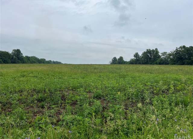 Property at 0 Pike 479, Bowling Green, MO 63334