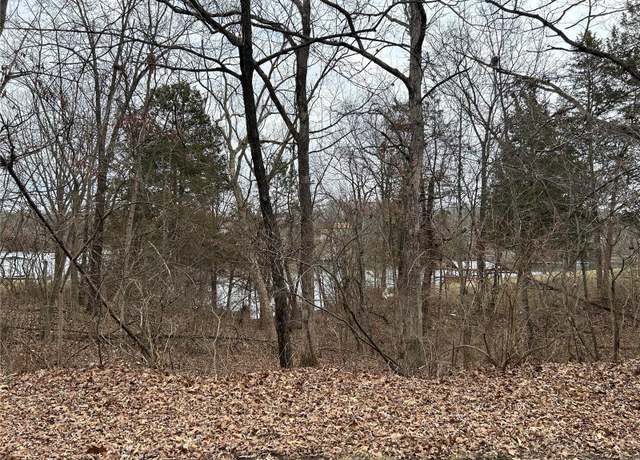 Property at 0 Section 5 Lots 10 & 11, De Soto, MO 63020
