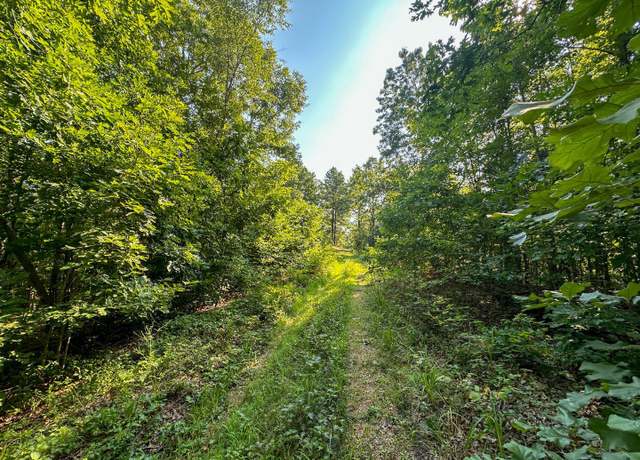 Property at 2808 Ripley Route Y, Doniphan, MO 63935