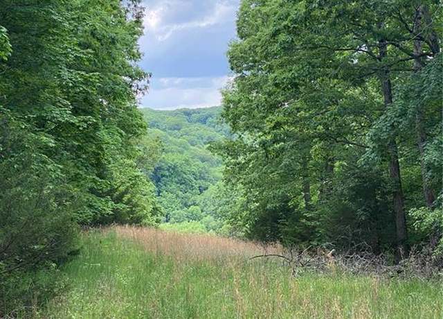 Property at 0 Steeple Rock Dr, Defiance, MO 63341