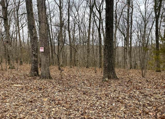 Property at 23 Turkey Trl, New Florence, MO 63363