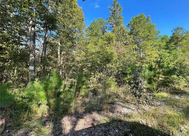 Property at 4 Woodland Hts W, Poplar Bluff, MO 63901