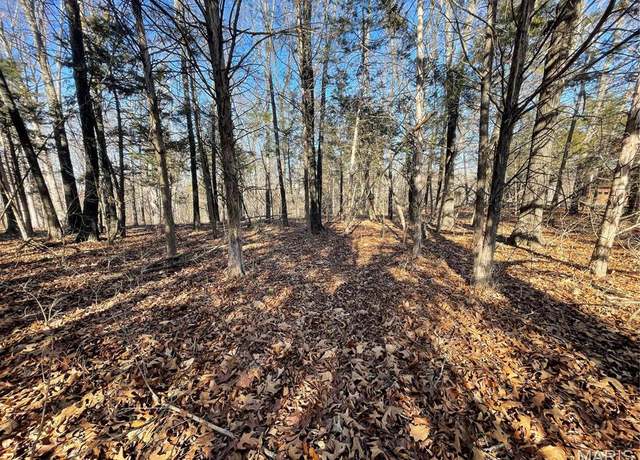 Property at 9 Hickory Ridge Rd, Hillsboro, MO 63050