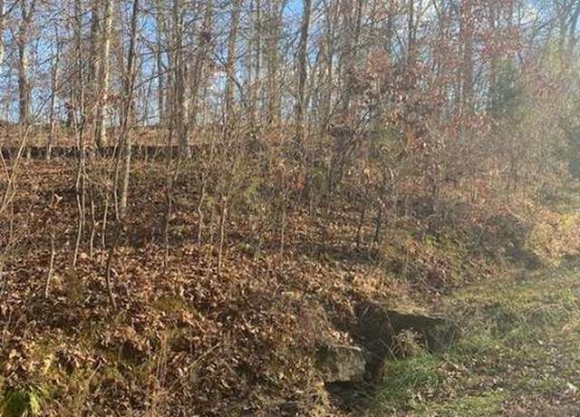 Property at 18 Wagon Creek Loop, Creal Springs, IL 62922