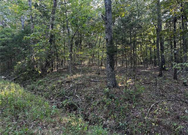 Property at 0 Fox Ln, Bonne Terre, MO 63628