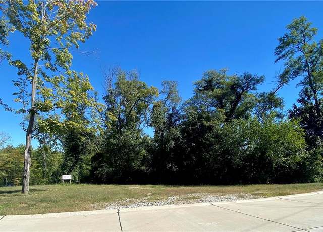 Property at 2017 Lily Ave, Kirkwood, MO 63122