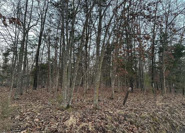Property at 0 Holt Rd Unit A, Bland, MO 65014