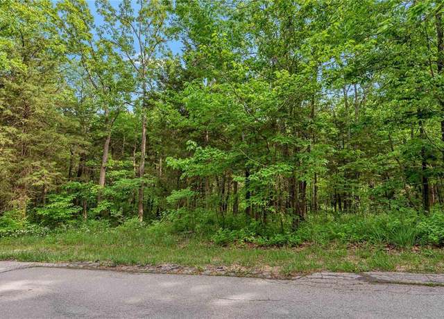 Property at 9630 Duffer Dr, Hillsboro, MO 63050