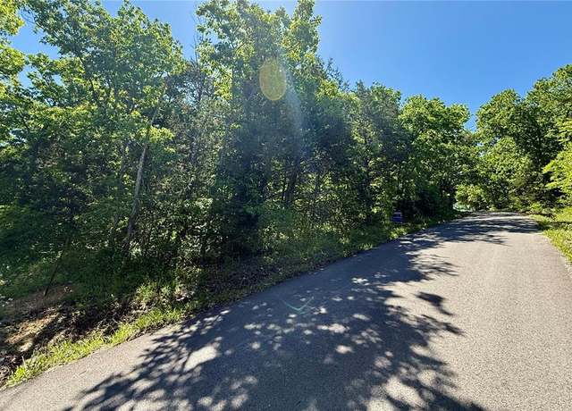 Property at 0 Cyclone Rd, Cadet, MO 63630