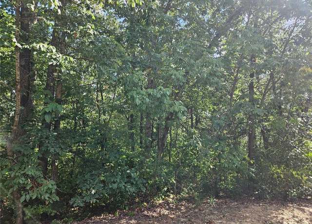 Property at 0 Lot 17 Tarrant's Ests, Bowling Green, MO 63334