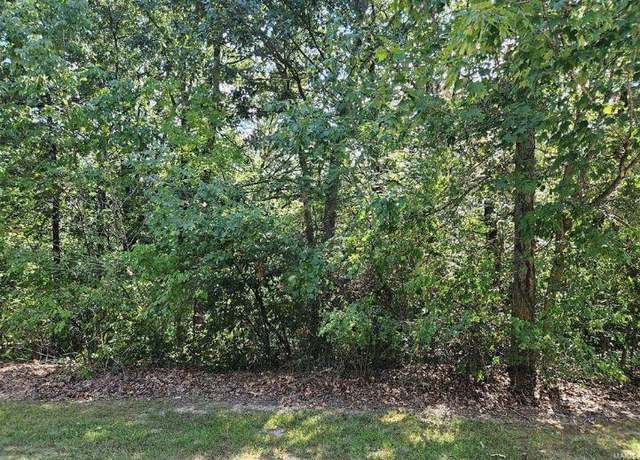 Property at 0 Lot 13 Tarrant's Ests, Bowling Green, MO 63334