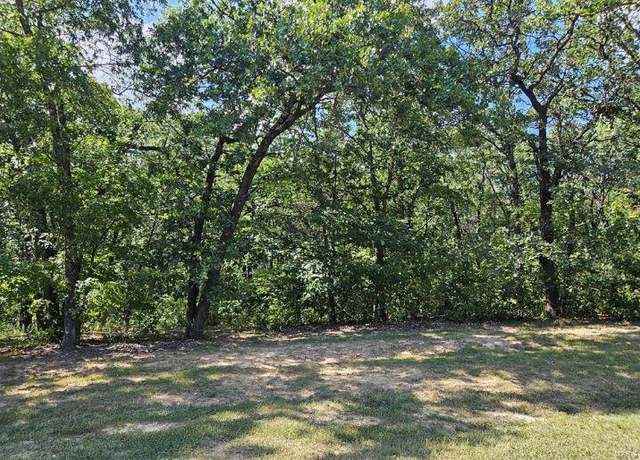 Property at 0 Lot 5 Tarrant's Ests, Bowling Green, MO 63334