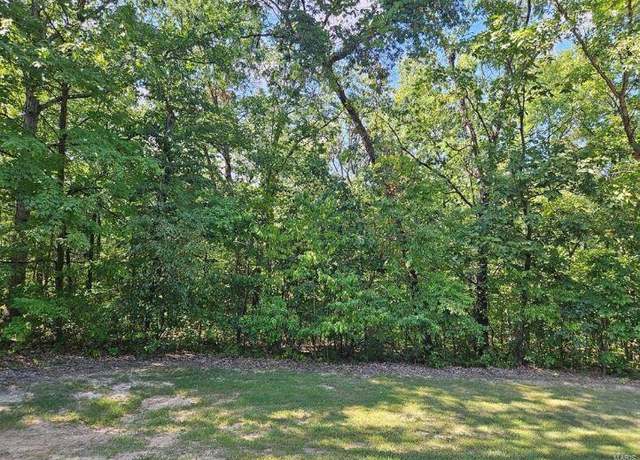 Property at 0 Lot 4 Tarrant's Ests, Bowling Green, MO 63334