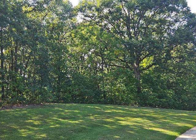 Property at 0 Lot 3 Tarrant's Ests, Bowling Green, MO 63334