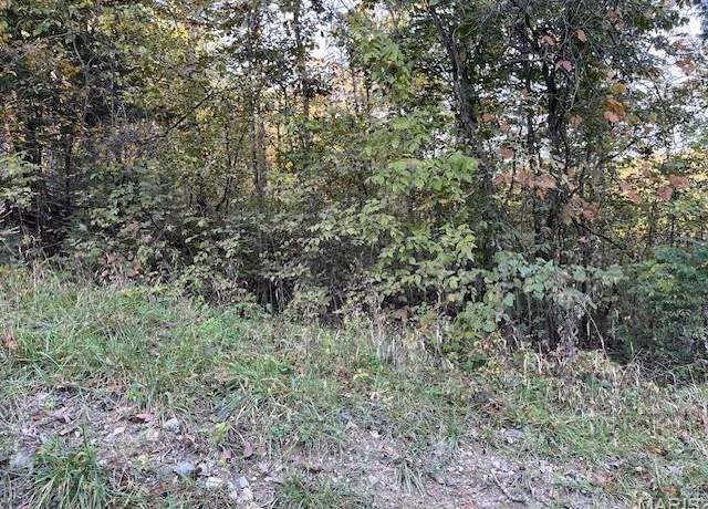 Property at 75 N Skyline Dr, New Florence, MO 63363