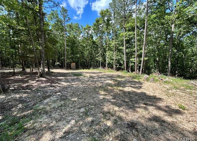 Property at 0 County Road 373, Piedmont, MO 63944