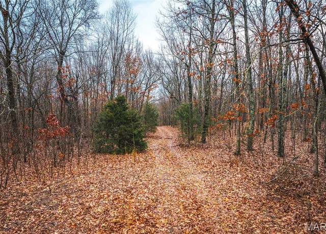 Property at 0 Christy Mine Rd, Bourbon, MO 65441