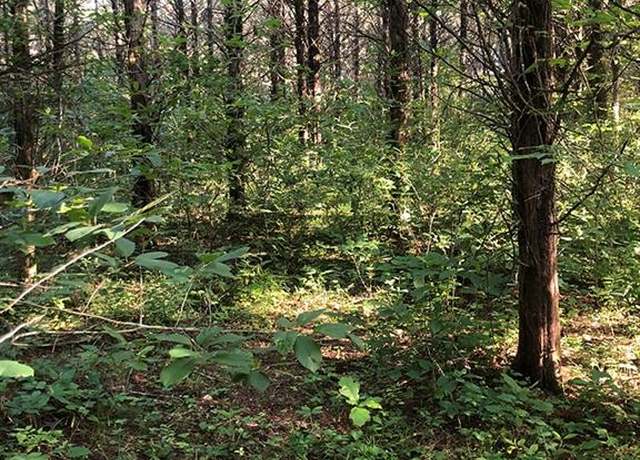 Property at 0 Rock Rd, Bourbon, MO 65441