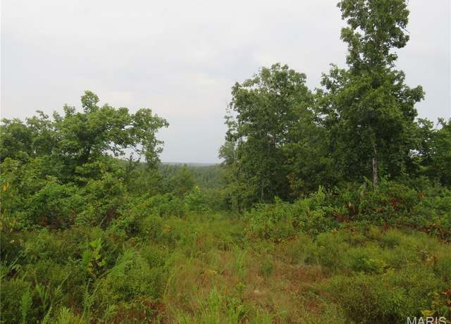 Property at 000 Forest Road 2083, Bunker, MO 63629