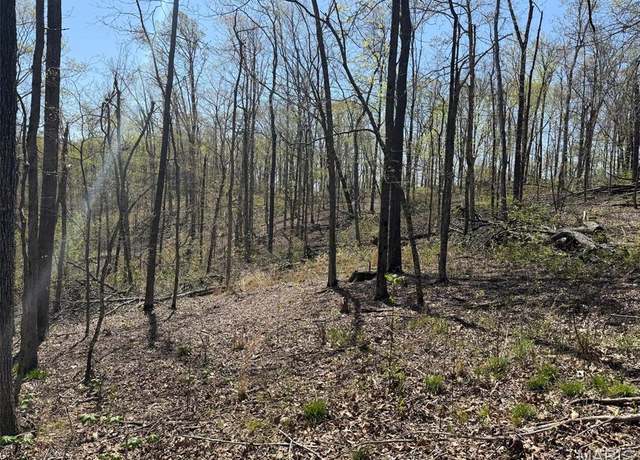 Property at 0 Bcr 300, Marble Hill, MO 63764