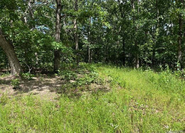 Property at 0 Delbridge Rd, Potosi, MO 63664