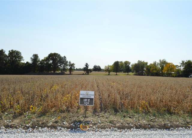 Property at 11300 Windsor Place Dr, Wright City, MO 63390