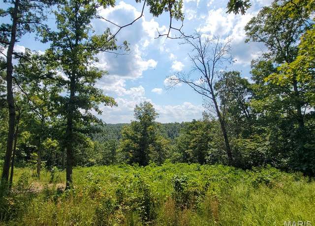 Property at 0ff County Road 118, Annapolis, MO 63620