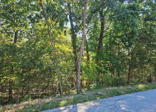 Property at 9528 Duffer Dr, Hillsboro, MO 63050