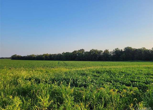 Property at 0 Hwy DD (17+/- Ac) Tract B, Bellflower, MO 63333