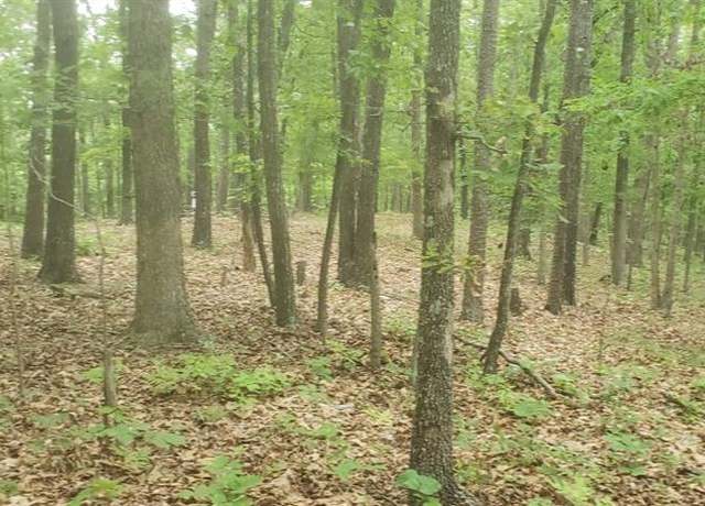 Property at 481 Timberline Rd, Willow Springs, MO 65793