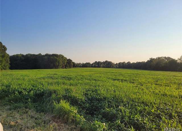 Property at 0 Hwy DD (85.69+/- Ac) Tract E, Bellflower, MO 63333