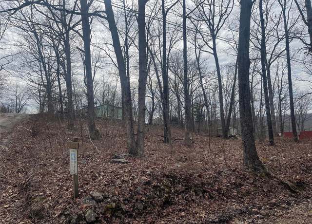 Property at 0 Lot 84 Mallard Rd, Middlebrook, MO 63656