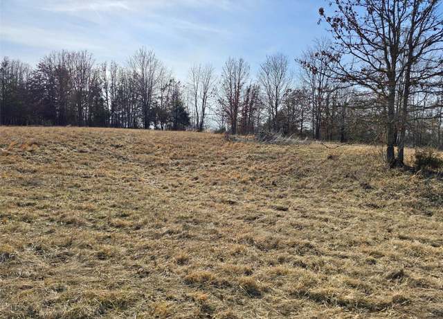 Property at 46082 Hwy 72 Tract 4, Salem, MO 65560