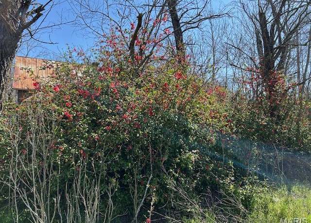 Property at 19588 State Highway C, Belgrade, MO 63622, 2 beds, 1 bath