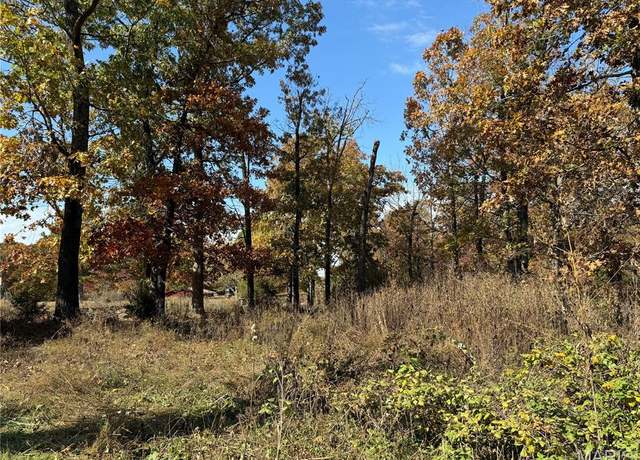 Property at 19677 Bean Creek Dr, Licking, MO 65542