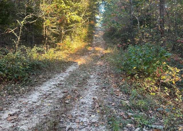 Property at 0 Blackrock Rd, Potosi, MO 63664