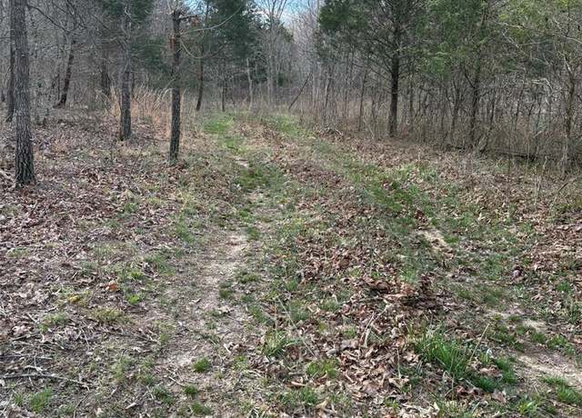Property at 702 Bcr, Glen Allen, MO 63751